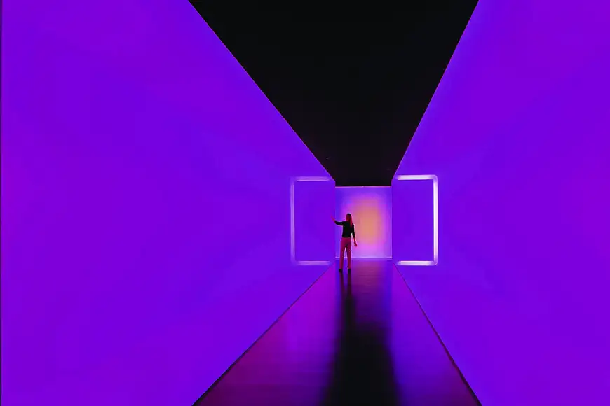 purple tunnel museum of fine arts houston.