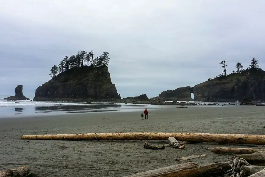 Beach 2 at Olympic National Park
