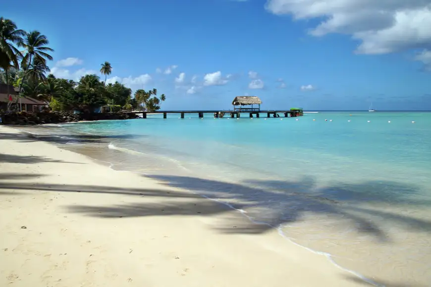 beautiful beach tobago island caribbean.