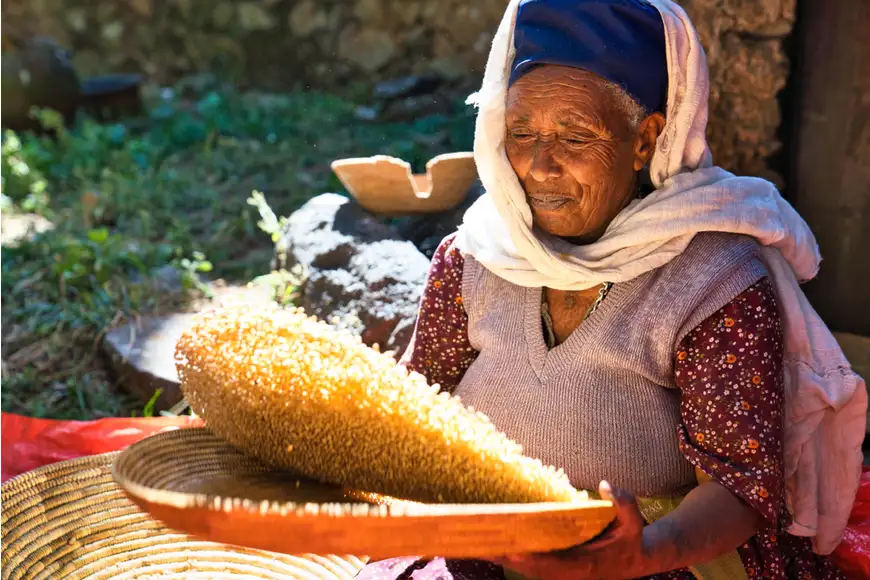 woman tossing corn gondar ethiopia.