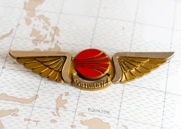 Turbulent Rise and Fall of the Kiddie Wing Pin.