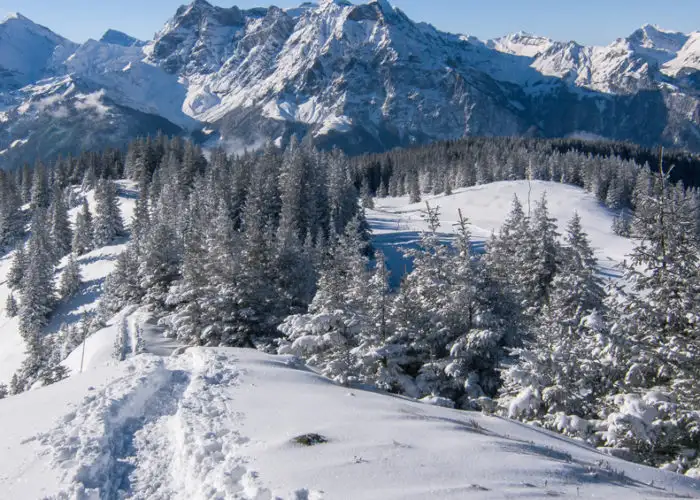 The 5 Coolest Ranger-Led National Parks Adventures for Winter