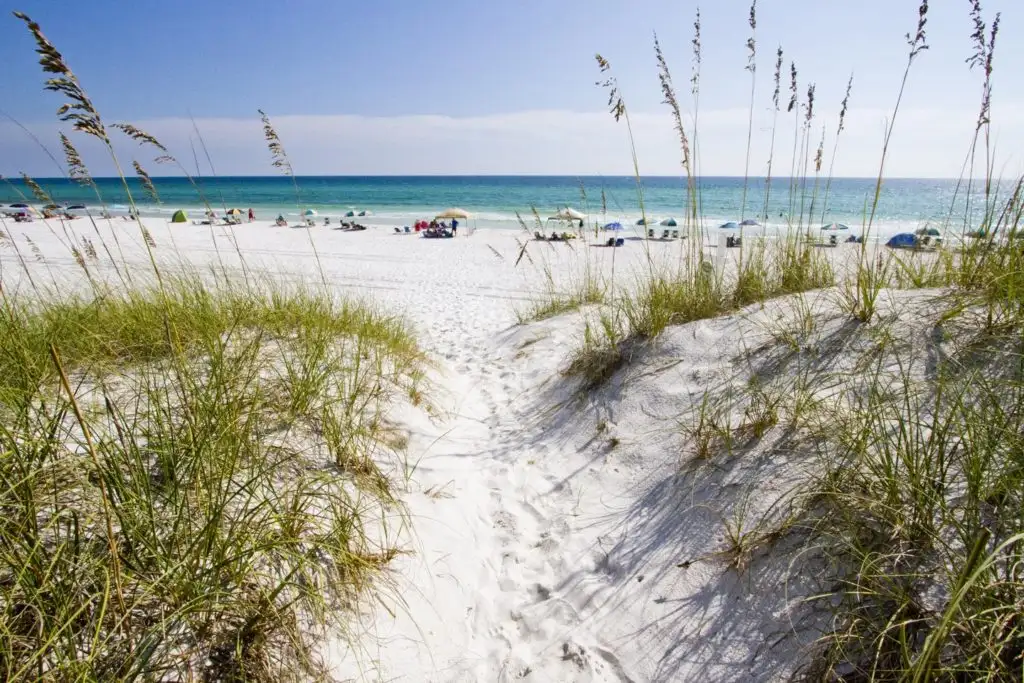 A beach in South Walton County, Florida