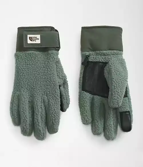 The North Face Cragmont Fleece Glove