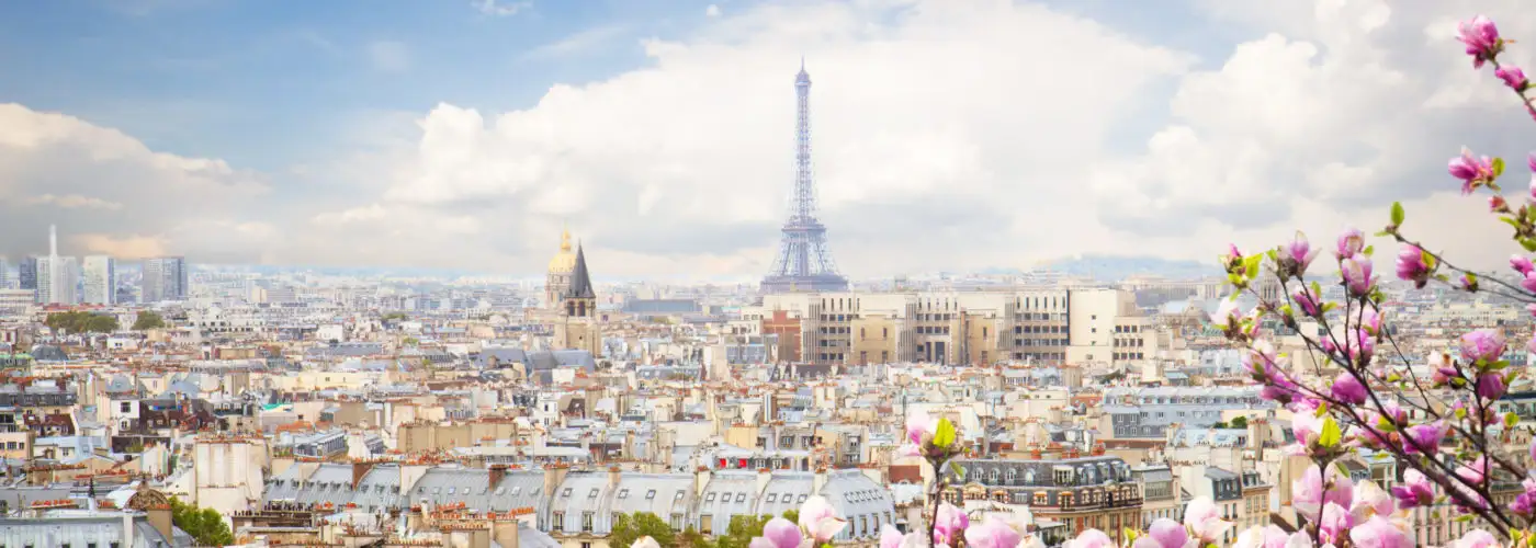 Paris skyline with pink flowers in the foreground