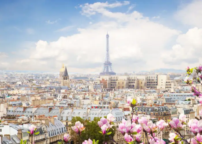 Paris skyline with pink flowers in the foreground