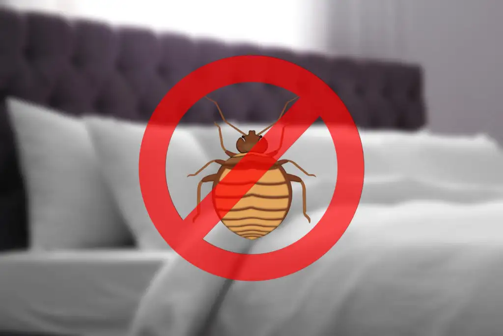 Illustrations of bedbug with red sign crossing it out on the backdrop of a blurry bedroom