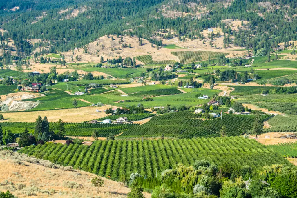 Aerial view of Okanagan Valley in British Columbia