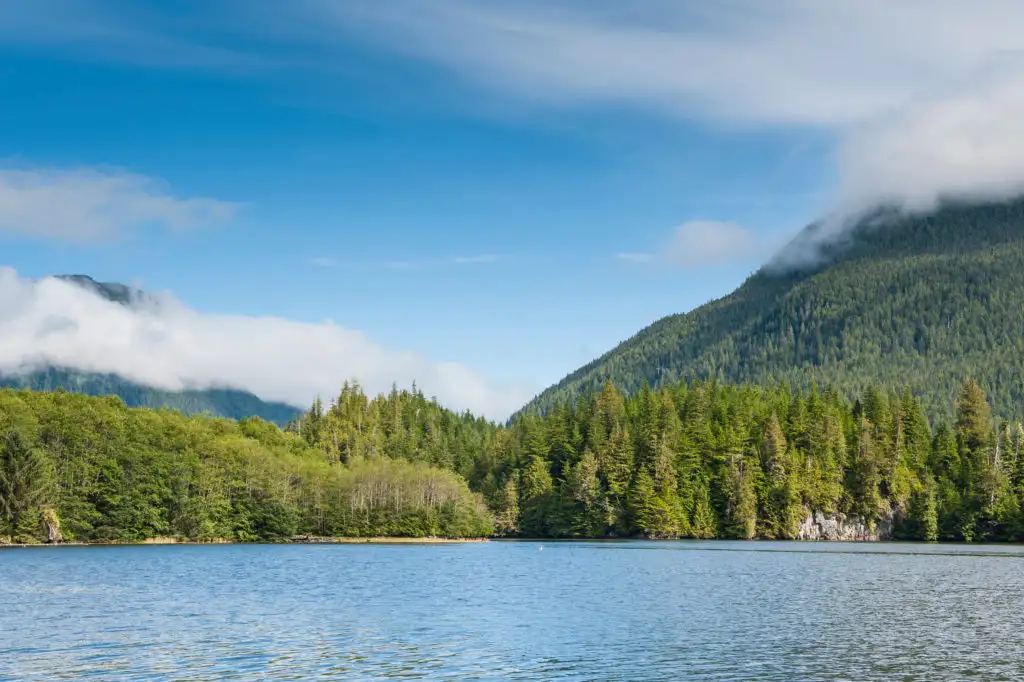 Great Bear Rainforest in Canada