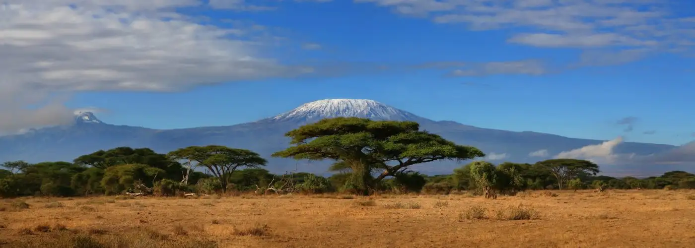 Mount Kilimanjaro seen at a distance over the African savanna