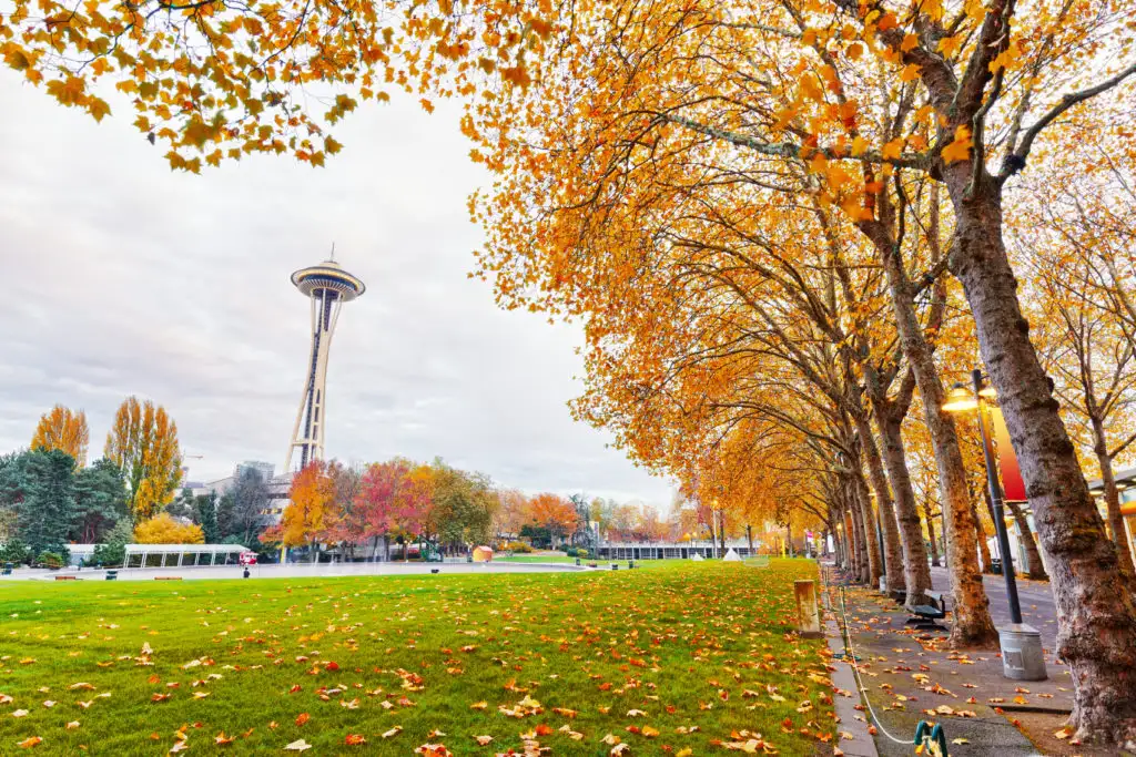 Fall foliage in a park with the Space Needle in the background in Seattle, Washington
