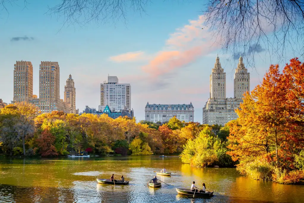 People paddling boats on the water in Central Park surrounded by autumn leaves and the New York City skyline in the background