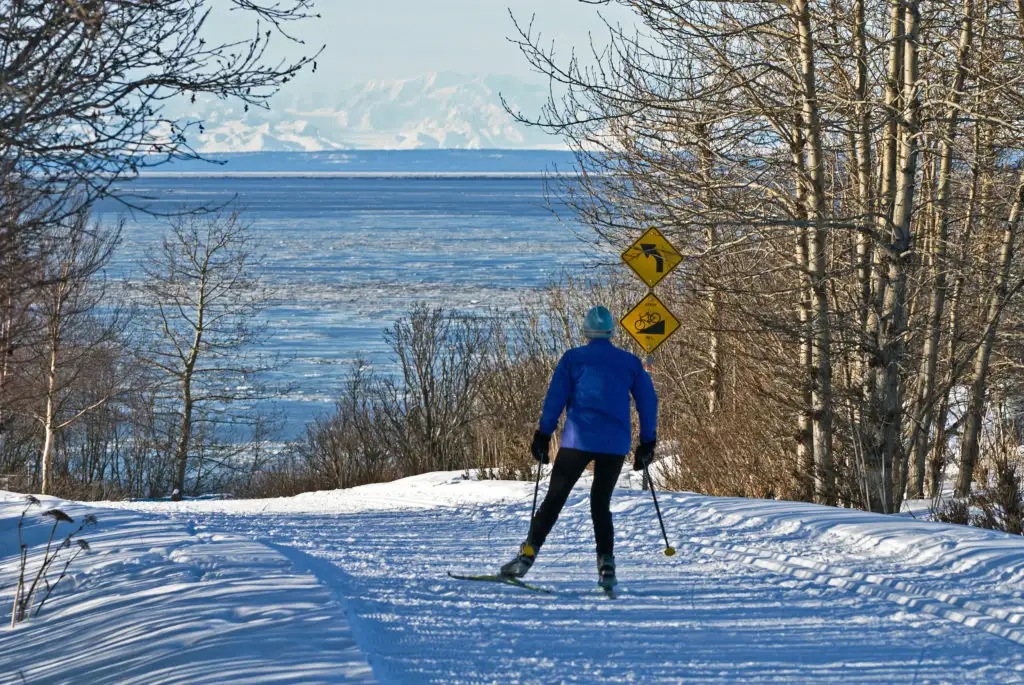 A woman, facing away from the viewer, cross county skiing down a snowy path toward the ocean