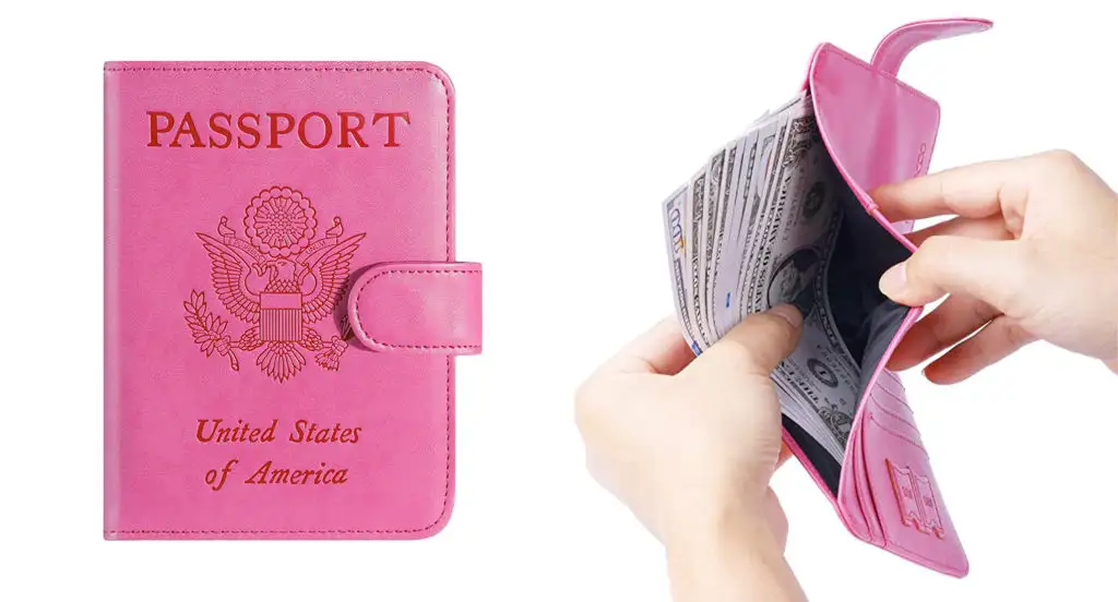 travel neck wallet passport holder