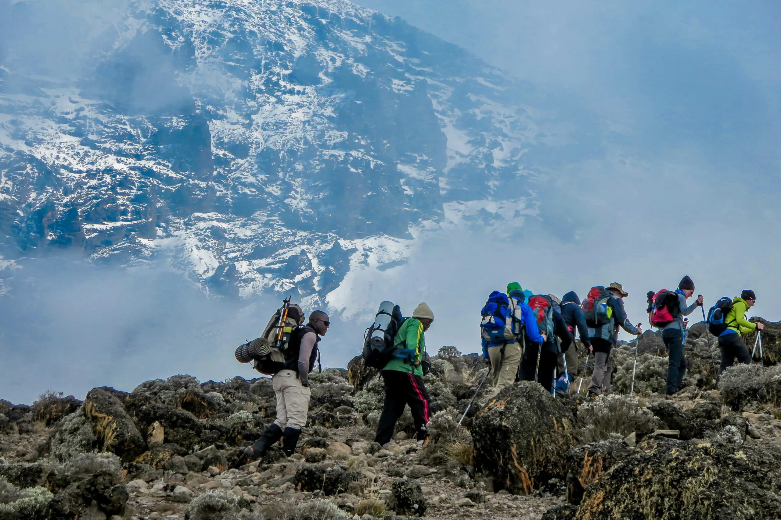 Group hiking mount Kilimanjaro Lemosho route with large snowy peak in the background