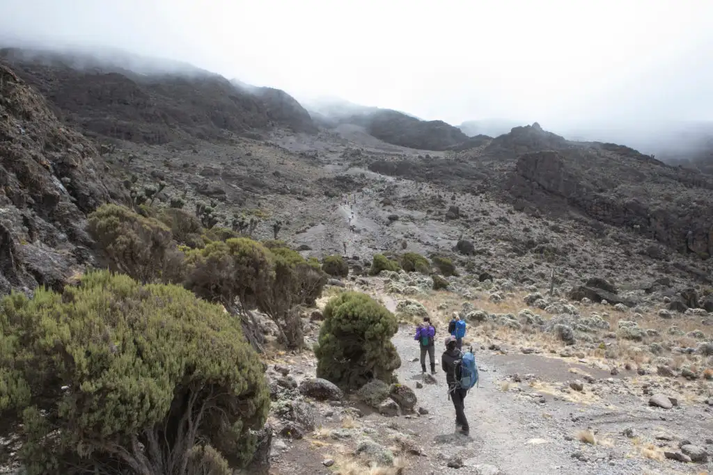Group hiking the Lemosho route toward the summit of Mount Kilimanjaro