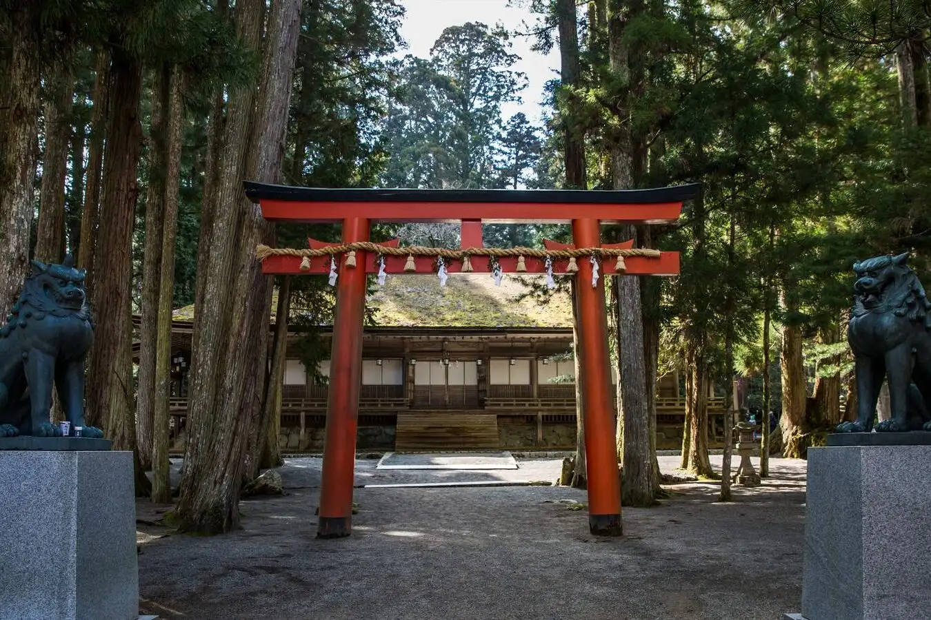 Entrance to a shrine in Japan