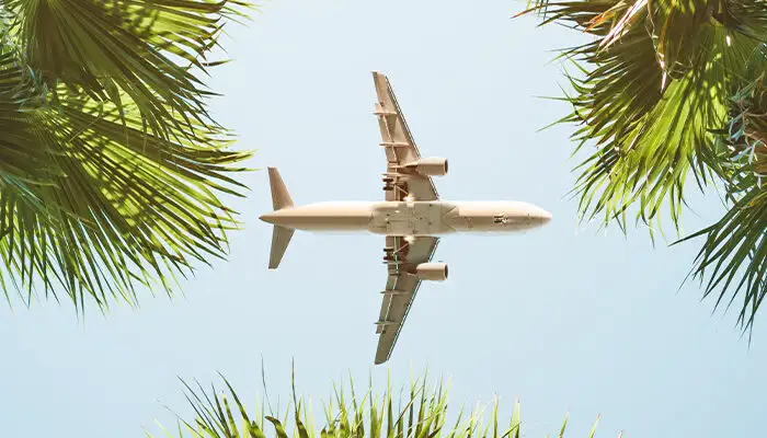 Airplane flying over palm trees