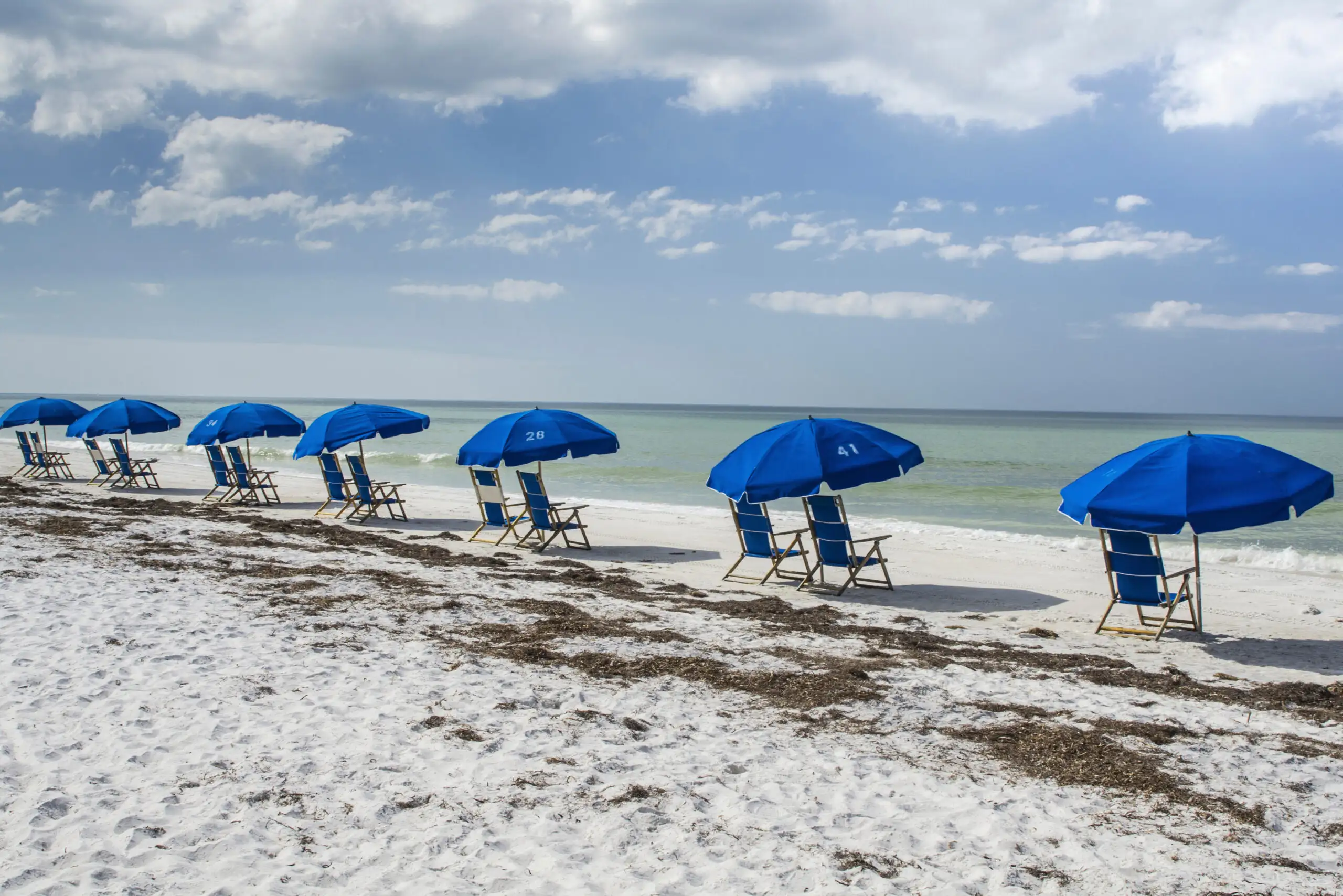 USA, Florida, Dunedin. Row of beach chairs on beach; Caladesi Island State Park.