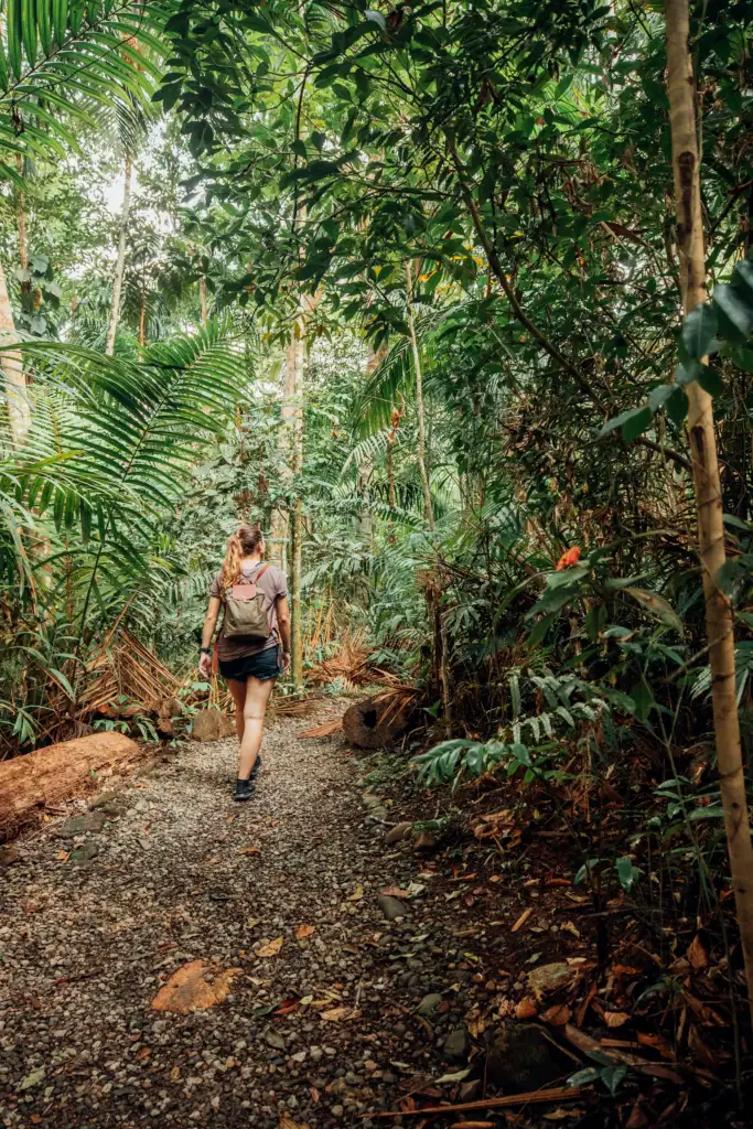Woman hiking through the jungle in Panama