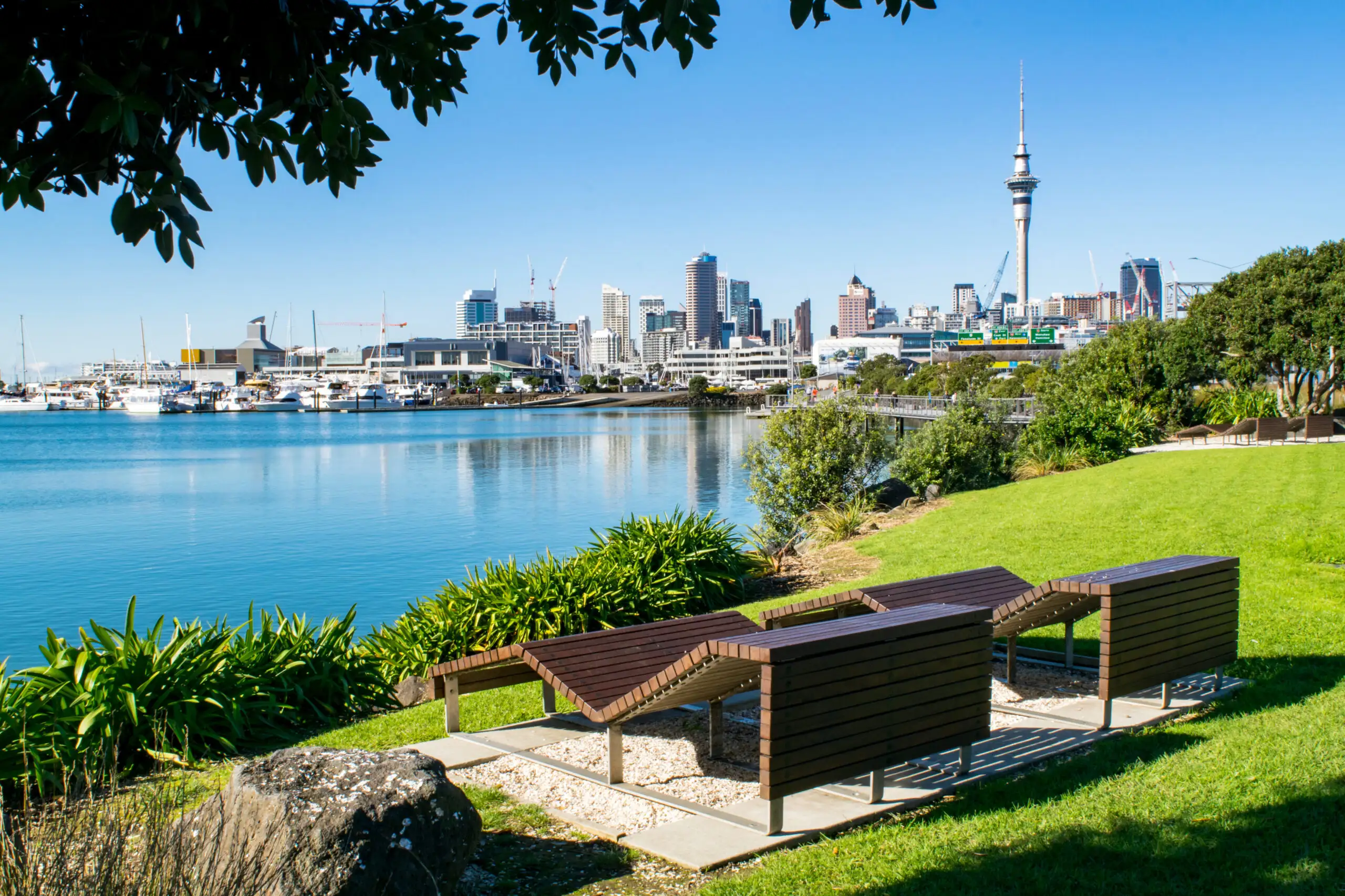Benches in Waterfront Park with view of downtown Auckland, New Zealand