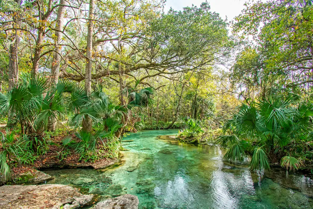 Natural freshwater spring at Kelly Rock Springs Park in Apopka, Florida just north of Orlando.