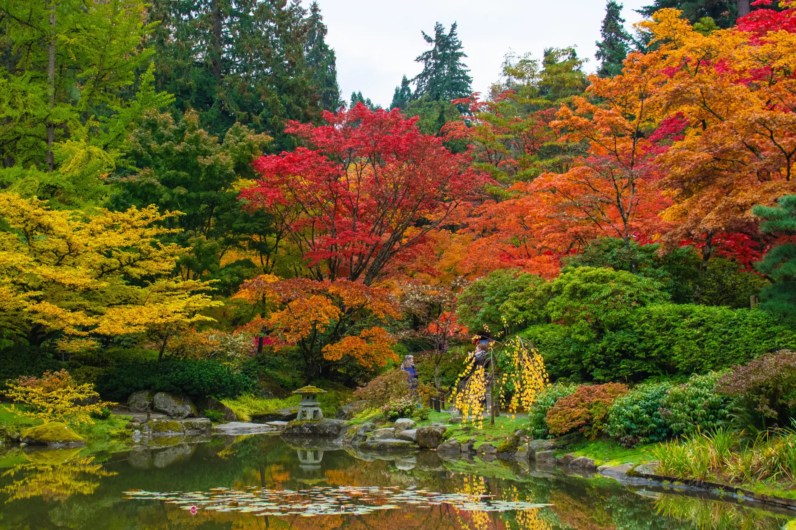 Japanese Garden at Washington Park Arboretum, Seattle, Washington