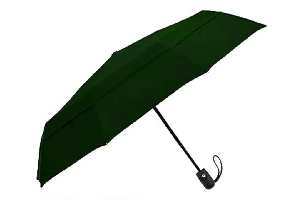 EEZ-Y Compact Travel Umbrella in green, best travel umbrella