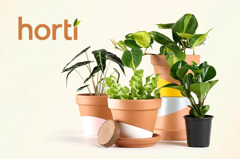 Plants included in the Horti subscription box