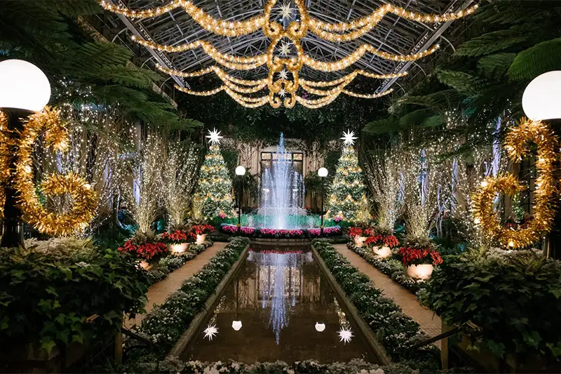 Holiday lights inside a greenhouse at Longwood Gardens botanical garden