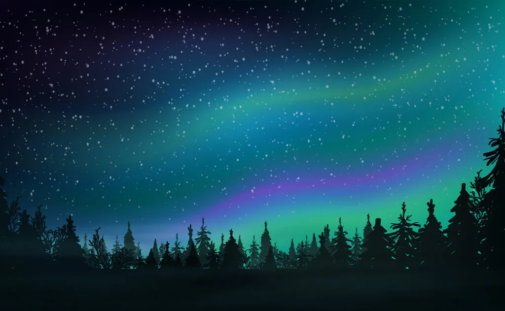 Pine forest, starry sky and Northern lights
